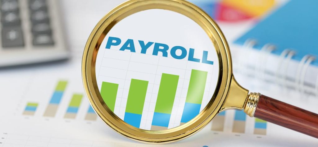 HR Payroll Software